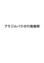 心理学　「動物（バグ）の行動観察」　合格レポート