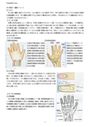 手の機能解剖・運動について【PT理学療法・OT作業療法】